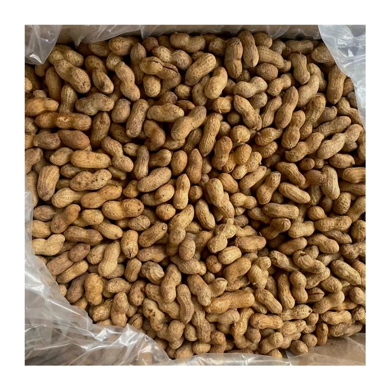 新货糖果花生带壳花生果网红休闲零食下酒菜下午茶点心餐饮