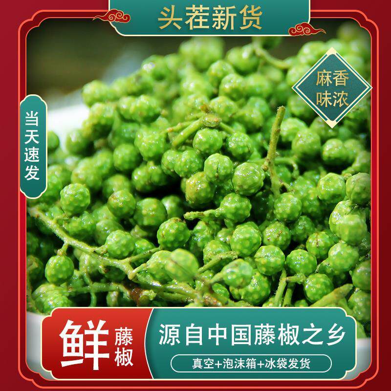 新日期藤椒新鲜四川青花椒