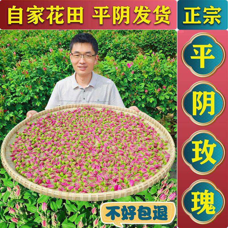 头期精选平阴玫瑰花茶低温无硫平阴干玫瑰花蕾茶泡水喝的重瓣玫瑰