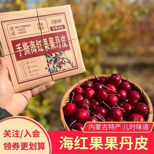 新货米妮布妲手撕海红果果丹皮鲜果制浆内蒙古特产儿时味道酸