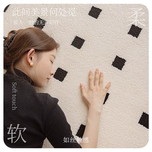 客厅免洗可擦防污免打理轻奢高级感极简奶油风 防水地毯2024新款
