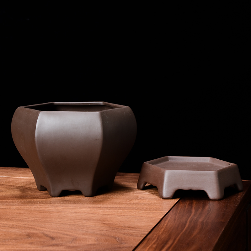 紫砂多肉花盆2021新款兰花蝴蝶兰绿植盆景盆吊兰创意大口径高款盆