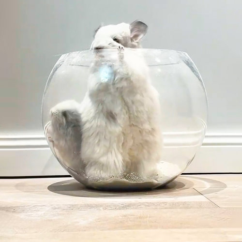 龙猫浴室小宠洗澡防飞溅浴沙房洗澡盆大号浴砂盆仓鼠荷兰猪专用