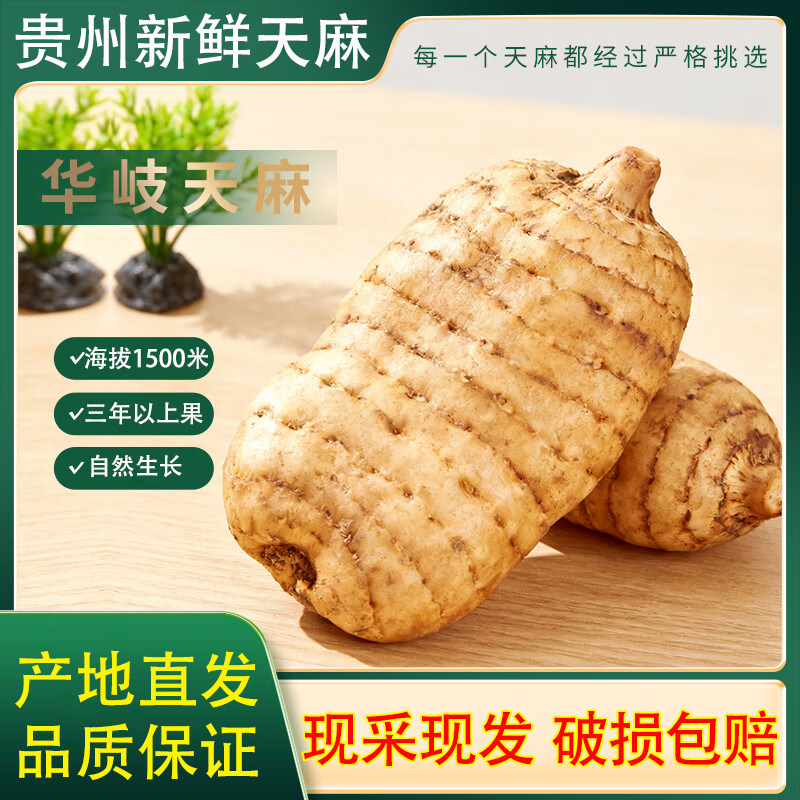 华岐正宗贵州大方特级老天麻深山仿野生种植新鲜乌天麻现挖现发