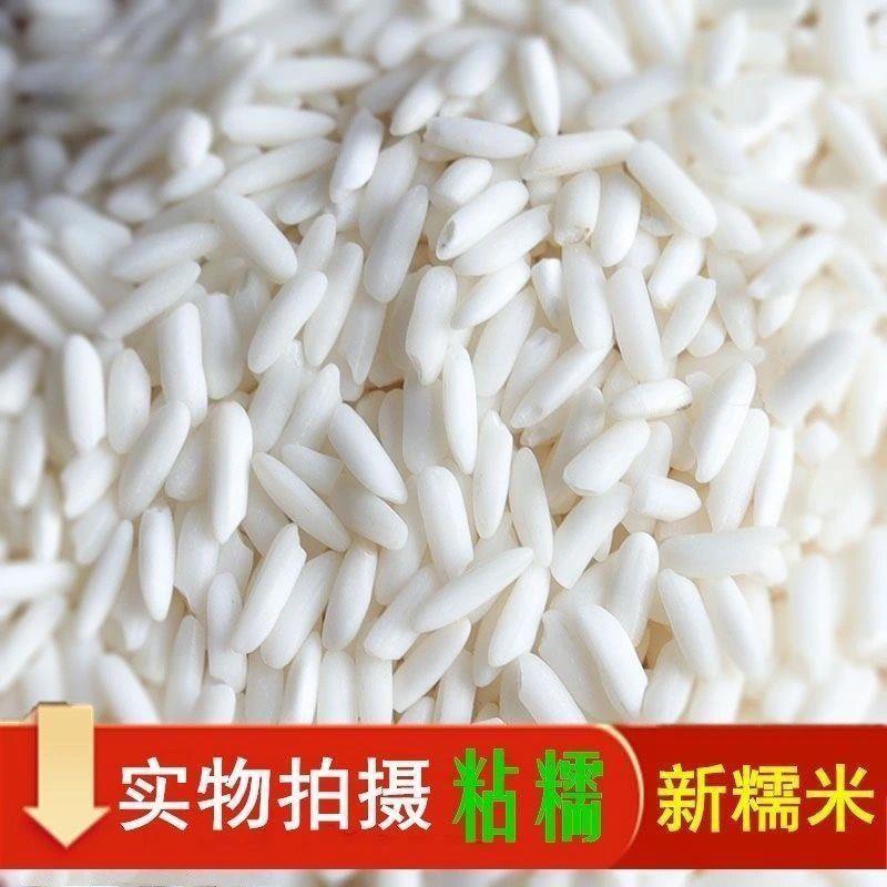 【当季新米】长糯米长江米新鲜散装 包粽子甜酒专用江米白糯米1斤