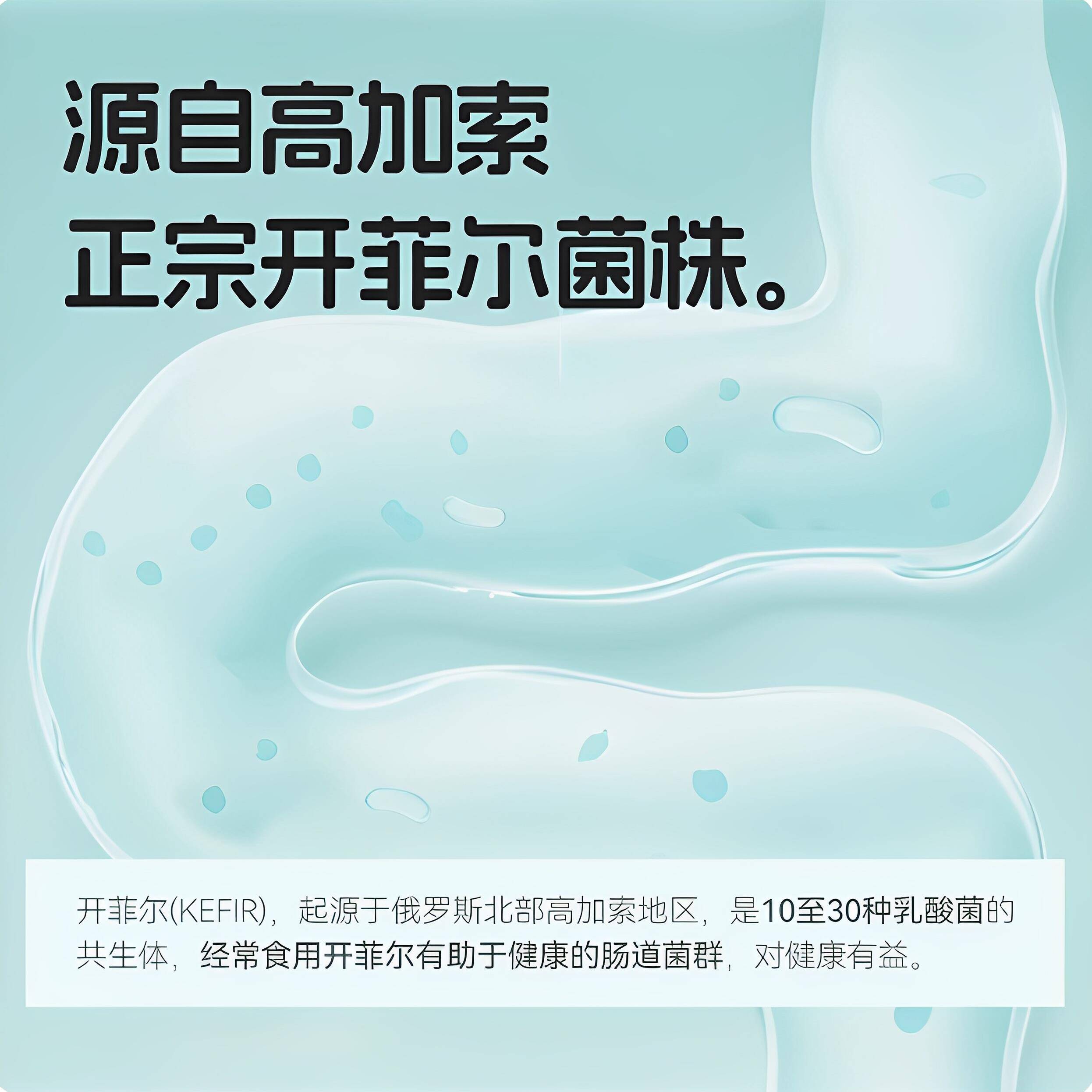 开菲尔酸奶发酵菌粉自制酸奶Kefir进口原料常温发酵开菲尔菌种