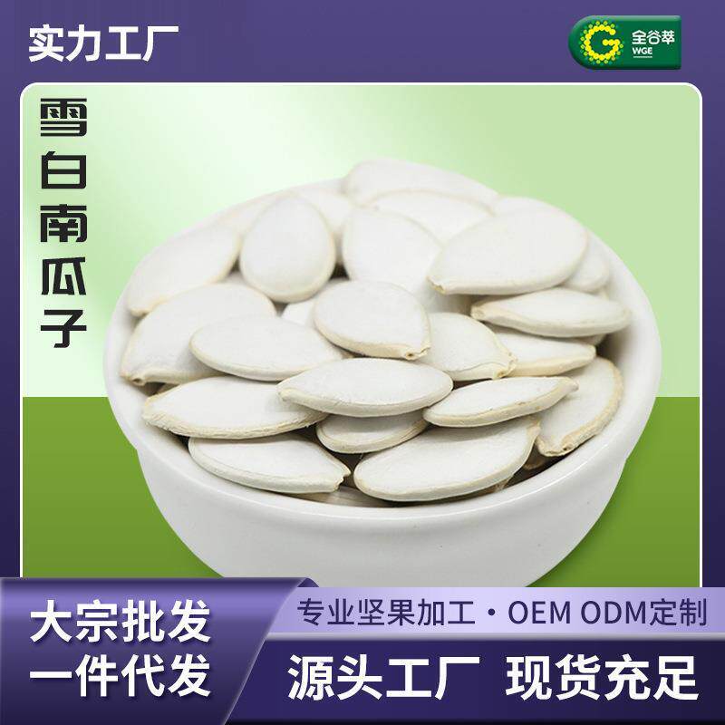 厂家雪白南瓜子原味内蒙古