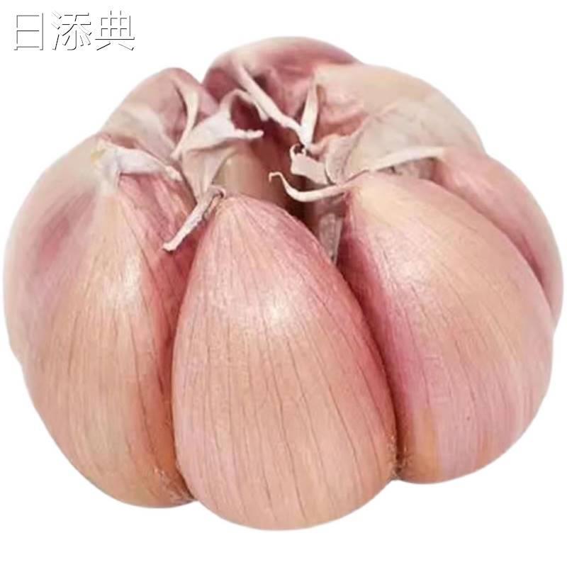 5/10斤价干蒜头河南开封杞县蒜头特价山东金乡大蒜家用大祘新鲜红