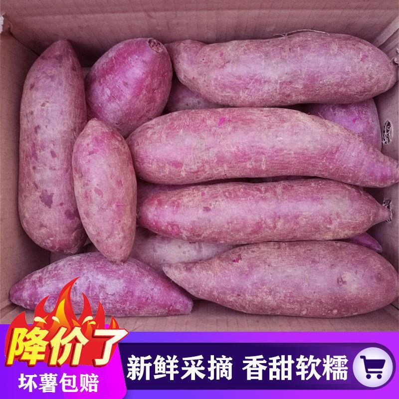正宗湖北襄阳紫罗兰紫薯新