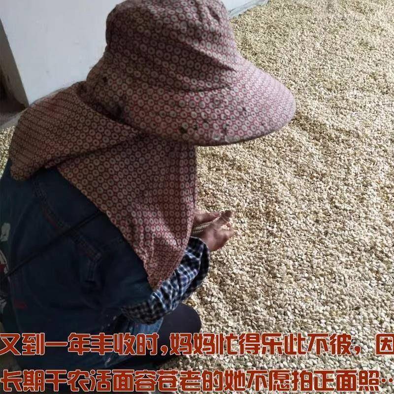 西马粉非洲做苞谷粑粑细玉米面超细馒头窝头新白玉米粉白棒子面贵