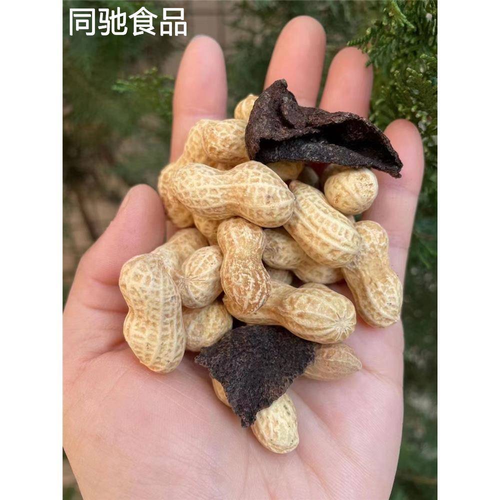陈皮花生江门新会特产网红零食咸干水煮晒干花生即食带壳下酒500g