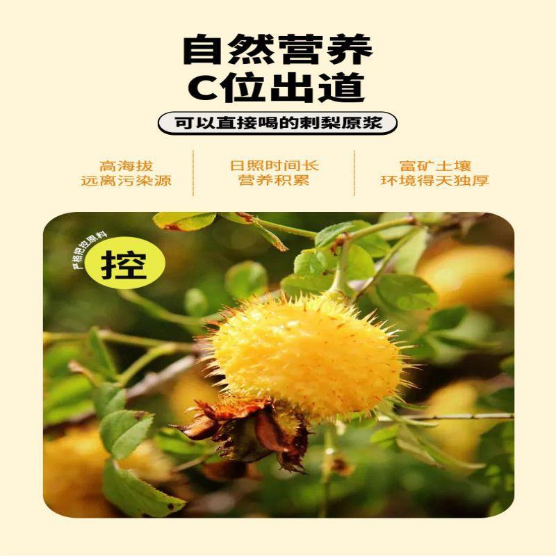 刺梨原浆鲜榨果蔬汁原汁VC饮料刺梨原液 刺梨汁原液果汁 植物饮料
