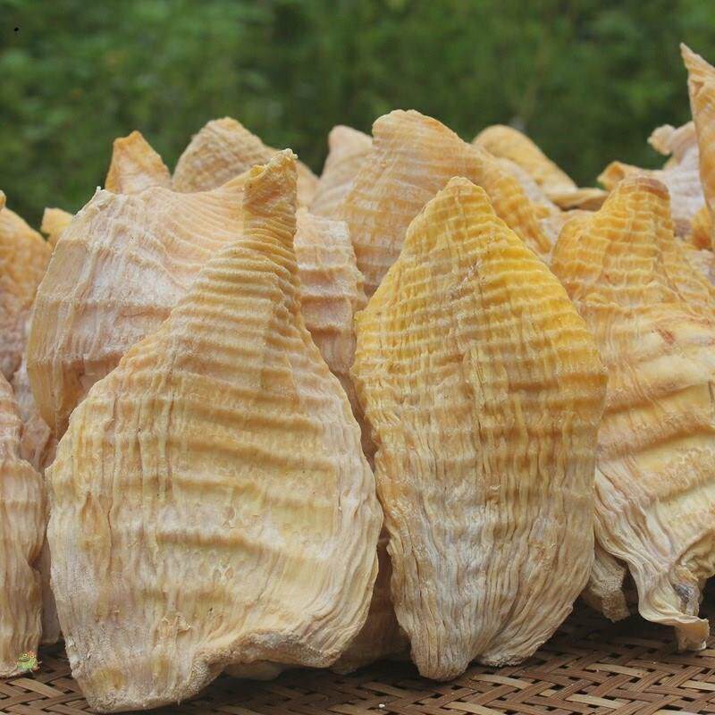 干笋子 竹笋干农家自制四川特产干货冬笋片楠竹笋 嫩笋尖500g