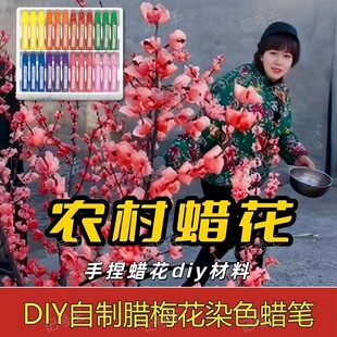 腊梅花专用蜡笔上色记号蜡笔红色黄色笔轮单色油画棒AI