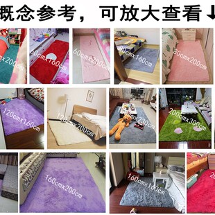 家用地毯卧室满铺可爱床边长毛绒客厅茶几毯室内全铺房间大块地垫