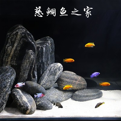 乌龟晒台石头天然特大鹅卵石鱼缸造景大块扁平爬石台浮岛晒背台