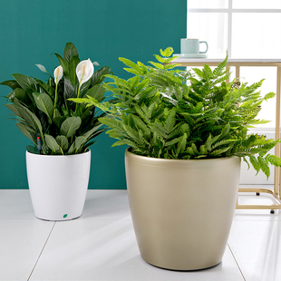 北欧懒人自吸水花盆简约落地圆形塑料烤漆储水特大号别墅客厅花盆