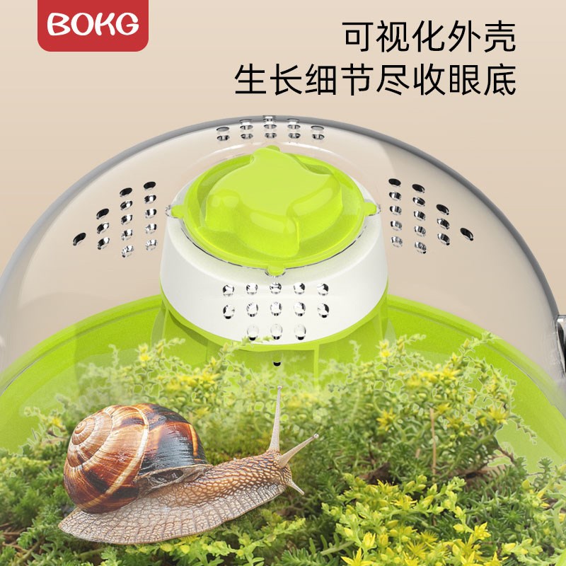 蜗牛宠物饲养盒学生科学实验观察记录动物蜗牛巨型生态缸饲料套装