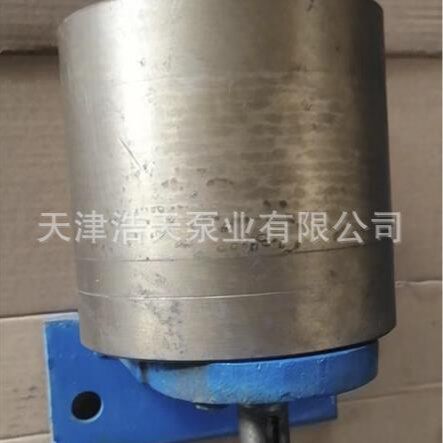 锡青铜齿轮泵CB-B 消防泡沫 胶水 聚氨酯 柴油 机油 汽油齿轮泵