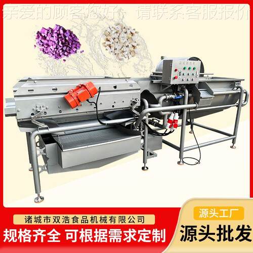 涡流清洗机土丝蔬菜香菇丁菜果净蔬加工清洗豆设碎VOJ备流水线清