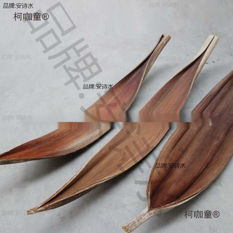 【可可叶（巨型）】进口干枝干草干叶干壳装饰插花家居摆设麦太保