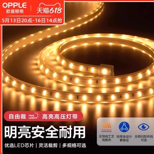 欧普led灯带霓虹灯条线灯客厅吊顶装饰亮光软管带无主灯恒星220v