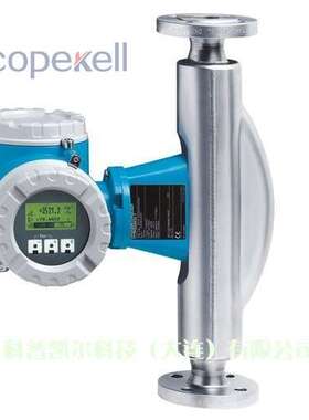 德国E+H差压变送器PMD75