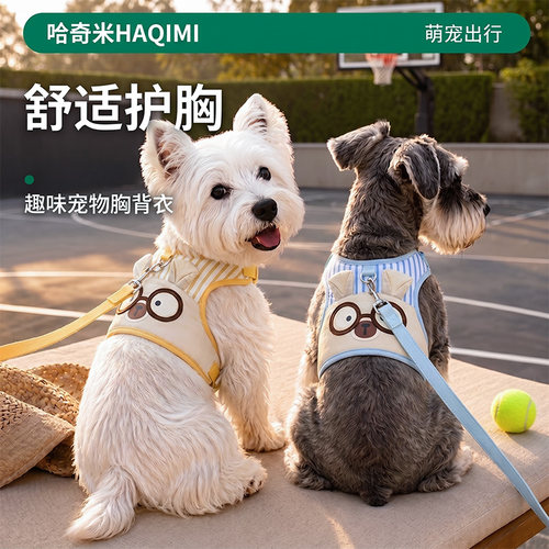 可爱眼镜小熊宠物牵引胸背带小型犬幼犬透气背心遛狗防挣脱牵引绳