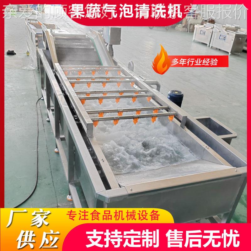 定制蓝莓CZQXJ-80洗气清洗机气泡喷淋式杨桃清设备果洗蔬泡加工清
