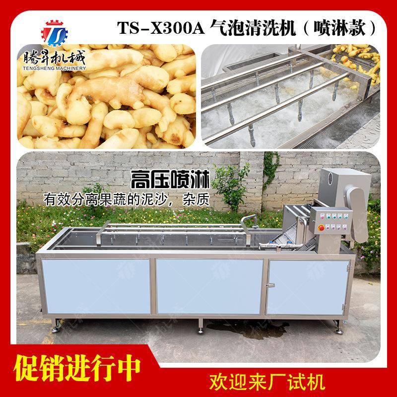 全自动高压喷淋洗菜机大型果蔬气泡清洗机蔬菜清洗线规格可定