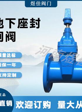 RVCX地理式软密封法兰闸阀SZ45X地下弹性座封直理阀门DN100150