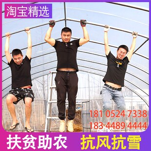 大棚钢管骨架全套椭圆管温室支架种菜农用蔬菜种植连栋养殖鸡拱杆