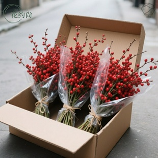 水培北美冬青鲜切红色果枝高端花束客厅装饰摆件年宵花易养护绿植