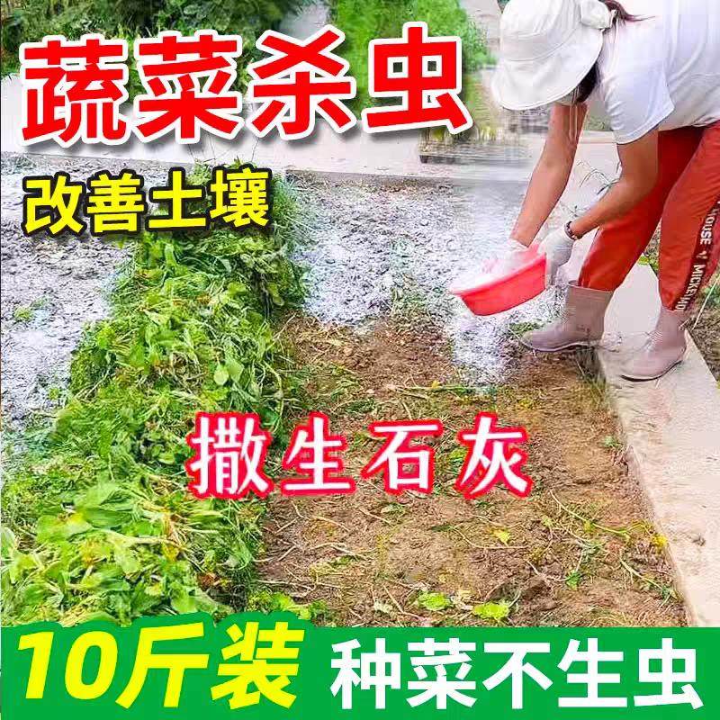 石灰粉杀虫种菜生石灰土壤消毒杀菌菜地除虫改善土壤高纯度生石灰,鲜花速递/花卉仿真/绿植园艺,月季/蔷薇/玫瑰,淘宝优惠券,粉丝福利购,淘宝优惠卷