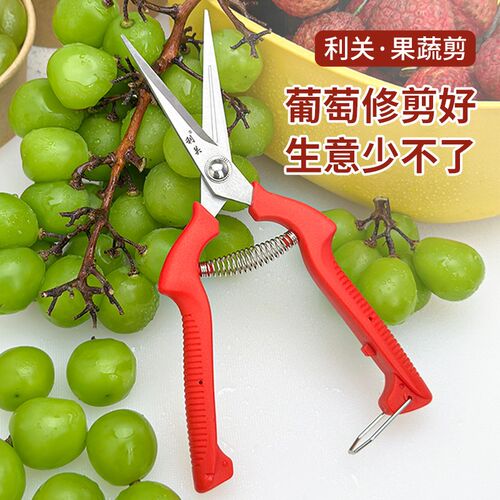 水果店葡萄剪摘果水果专用剪刀修花蔬果剪树枝稀疏果利.关摘果小