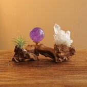 天然风化木d水晶球托底座空气凤梨原石客厅装 饰品办公室桌面摆件