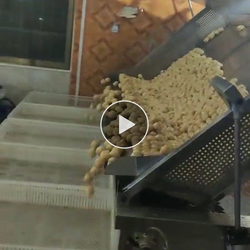 大型全自动商用油炸锅自动出料炸炸豆泡鸡爪鸭扣肉生