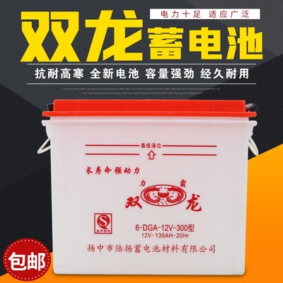 双龙铅酸水电瓶牵引蓄电池电动三轮出租车拉货车全新大容量100AH