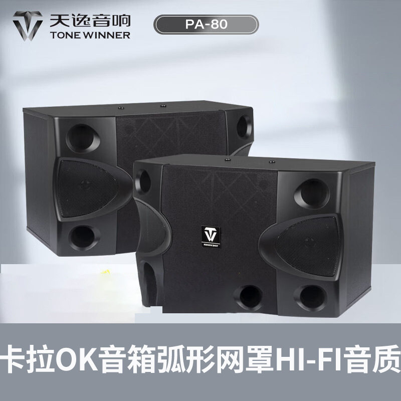 天逸PA-80家用KTV卡拉OK音响