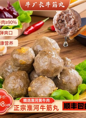 淮河牛厂长新鲜淮河黄牛腿肉爆汁Q弹正宗肉丸牛筋丸250g火锅丸子