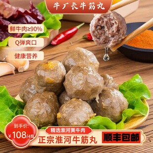 淮河牛厂长新鲜淮河黄牛腿肉爆汁Q弹正宗肉丸牛筋丸250g火锅丸子