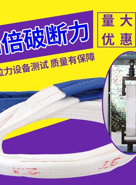 虎王 强丝白色扁平酸洗吊装带扣工业吊车重拖车绳吨吨