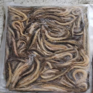 包邮龙鱼虎鱼魟鱼乌龟饲料冻泥鳅段河虾麦穗鱼食增色林蛙 5斤专拍