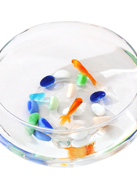 简约创意大号透明水仙铜钱草碗莲水培花盆鱼缸摆件玻璃器皿