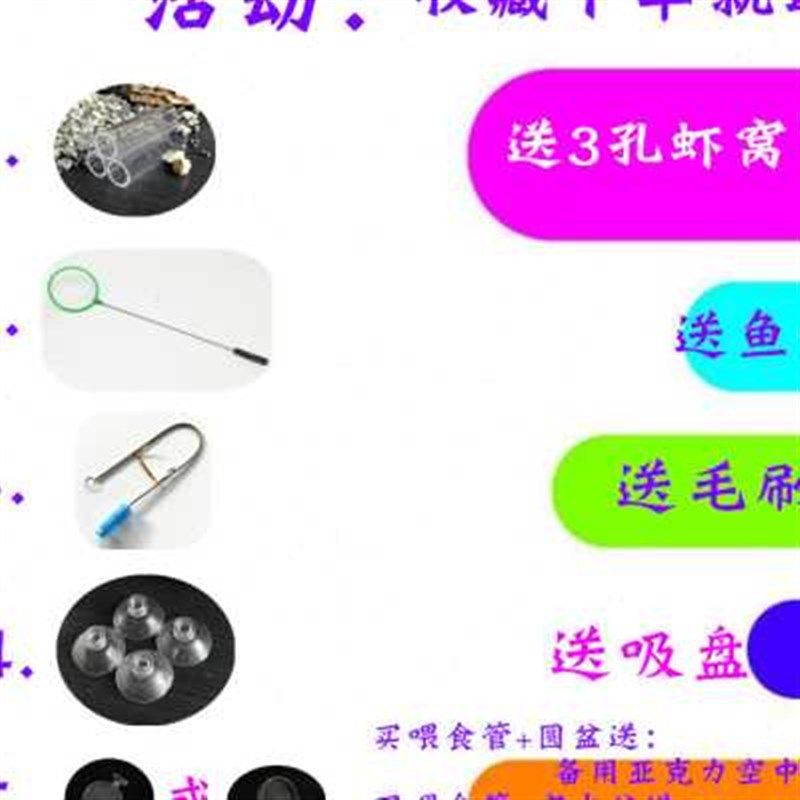 鱼缸龟缸喂食管j水晶虾投食管底栖鱼螺喂食器投食器玻璃虾盆喂虾