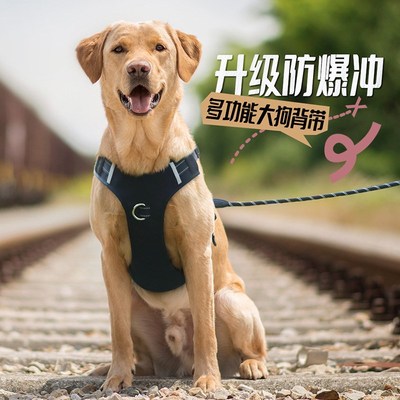 狗狗中大型犬牵引绳胸背带拉布拉多金毛萨摩耶大狗绳防爆冲可调节