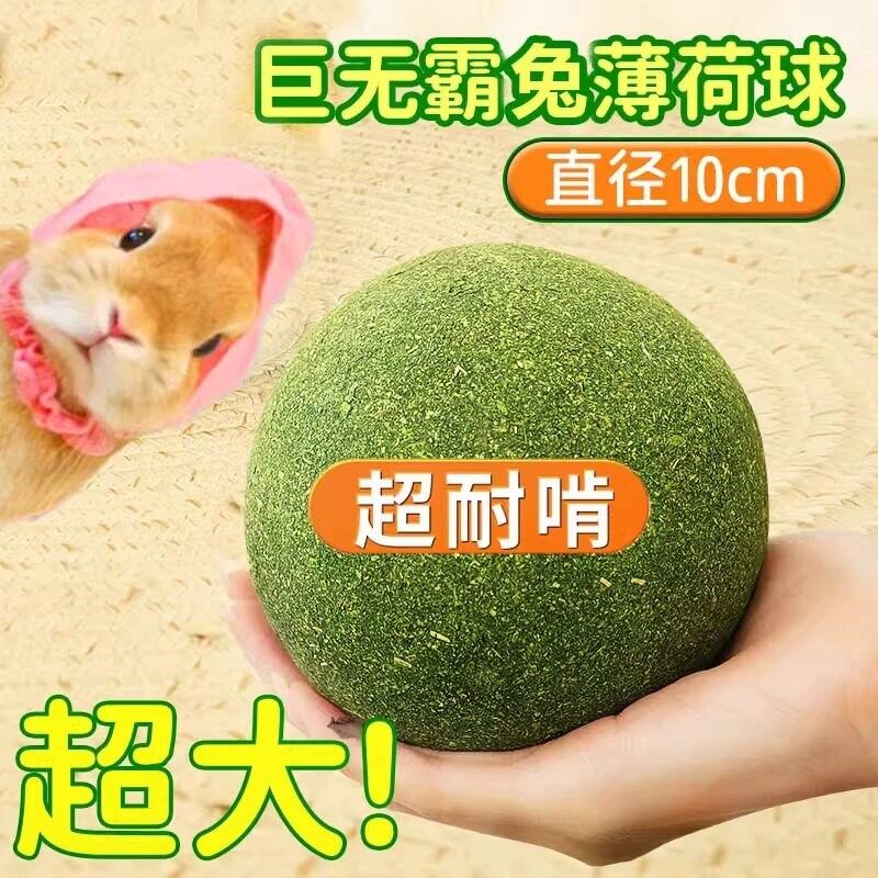 兔子解闷玩具草球超大号磨牙耐啃咬解闷玩具宠物侏儒兔兔子玩具,宠物/宠物食品及用品,兔兔磨牙,淘宝优惠券,粉丝福利购,淘宝优惠卷