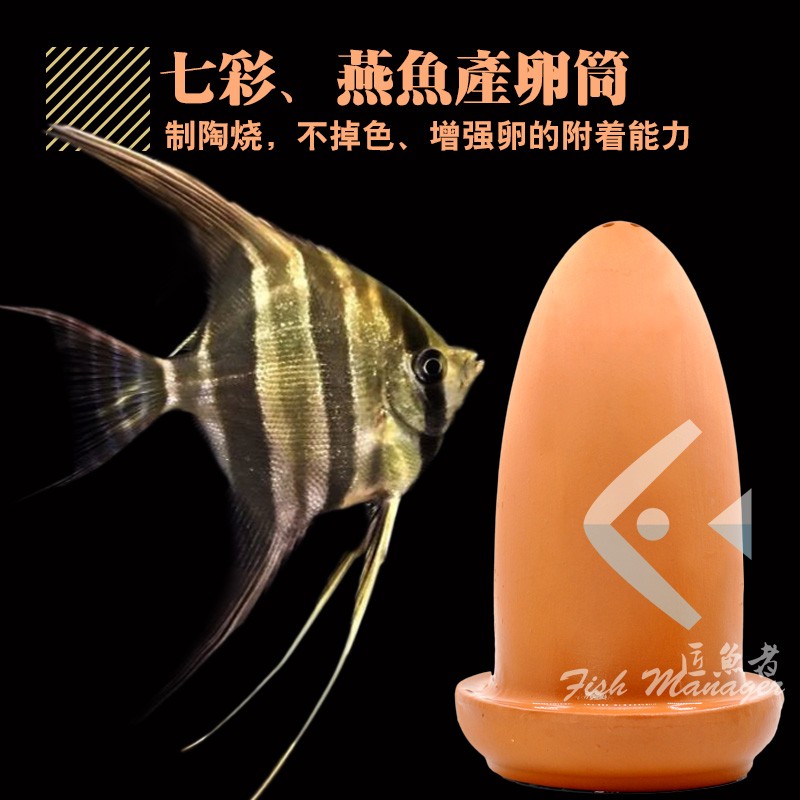 七彩神仙产卵桶神奇宝贝产卵器繁殖罐神仙鱼陶罐繁殖孵化鱼孵化器