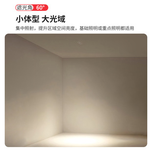 格栅灯嵌入式 天花吊顶5头10头15头10W20W30W衣柜书柜全光谱线条灯