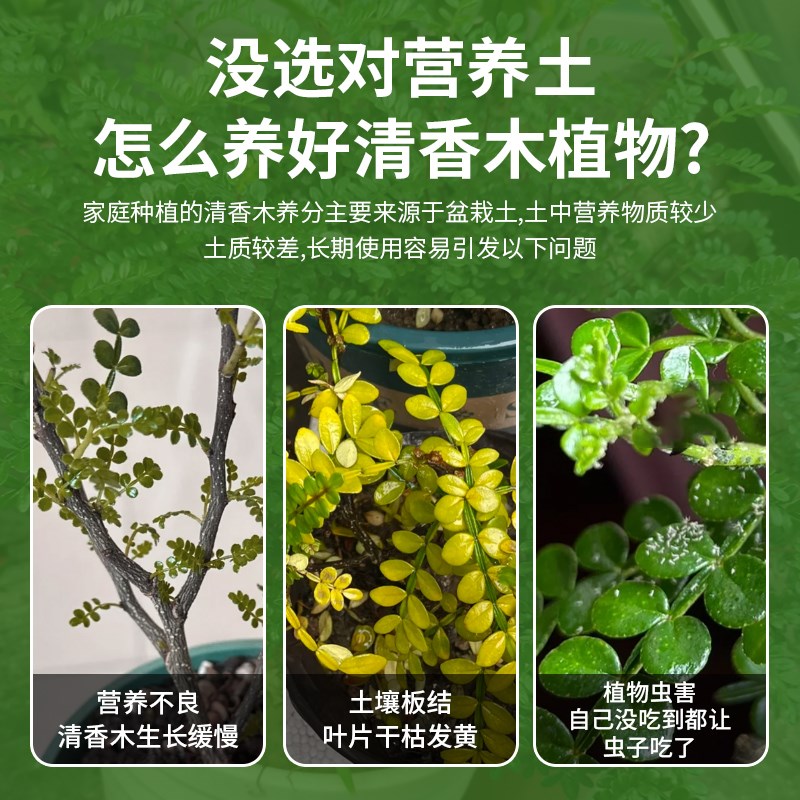 清香木专用土盆栽营养土通用型养花种植有机家用培养种植土壤肥料